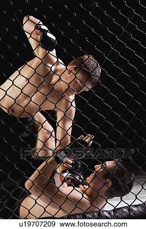 Stock Photo - Cage fighters. Fotosearch