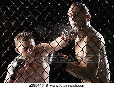 Stock Photo - Cage fighters. Fotosearch