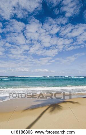 Stock Image - Caribbean beach. Fotosearch