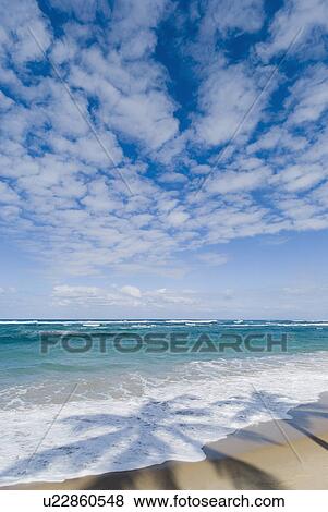 Caribbean beach View Large Photo Image Stock Photo - Caribbean beach. Fotosearch