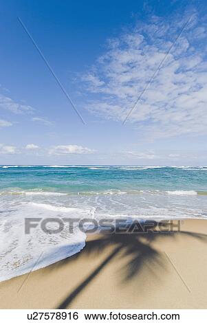 Caribbean beach View Large Photo Image Stock Photograph - Caribbean beach. Fotosearch