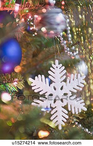 Picture - Christmas tree. Fotosearch