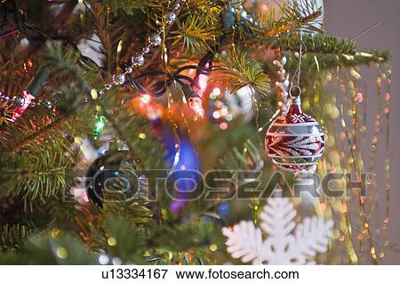 Stock Photo - Christmas tree. Fotosearch