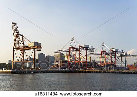 Picture - Container cranes. Fotosearch