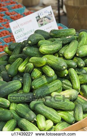 Stock Photo - Cucumber display at farmer's market. Fotosearch