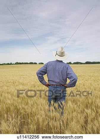 Farmer standing in wheat field View Large Photo Image Stock Photograph - Farmer standing in wheat field. Fotosearch