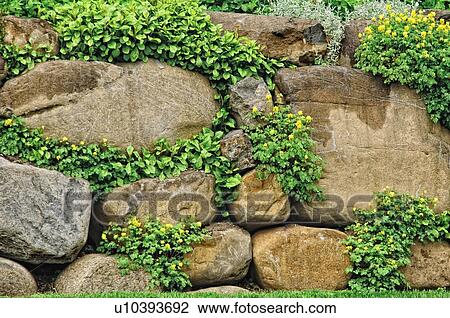 Stock Image - Garden wall. Fotosearch