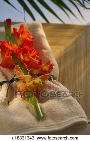 Gladioli flowers on towel View Large Photo Image Stock Image - Gladioli flowers on towel. Fotosearch