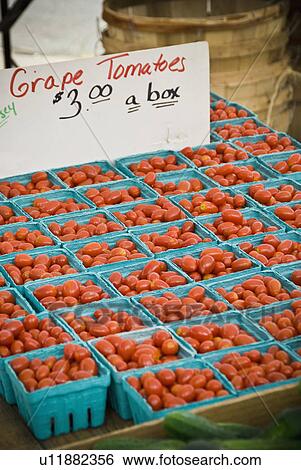 Grape display at farmer's market View Large Photo Image Stock Photograph - Grape display at farmer's market. Fotosearch