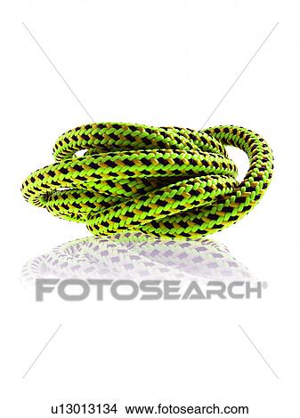 Green black and yellow rope View Large Photo Image Picture - Green black and yellow rope. Fotosearch