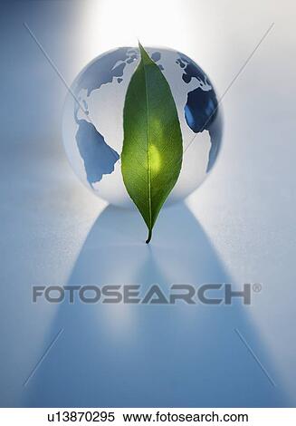 Stock Photography - Green leaf in front of globe. Fotosearch