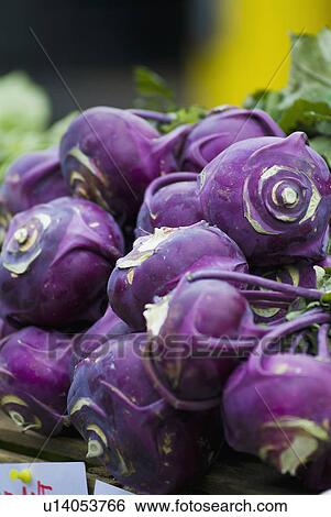 Kohlrabi display at farmer's market View Large Photo Image Stock Photograph - Kohlrabi display at farmer's market. Fotosearch