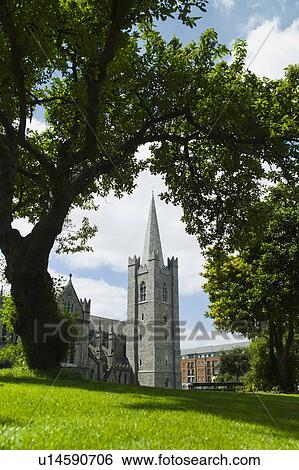 Stock Photograph - Lawn in front of Saint Patrick's Cathedral. Fotosearch