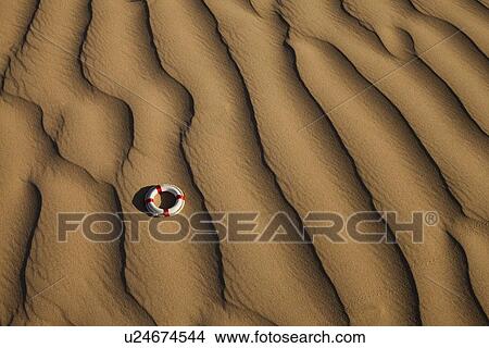 Lifebuoy in desert View Large Photo Image Picture - Lifebuoy in desert. Fotosearch