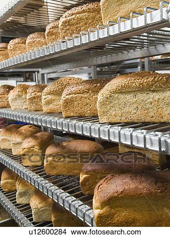 Picture - Loaves of bread on shelves in bakery. Fotosearch
