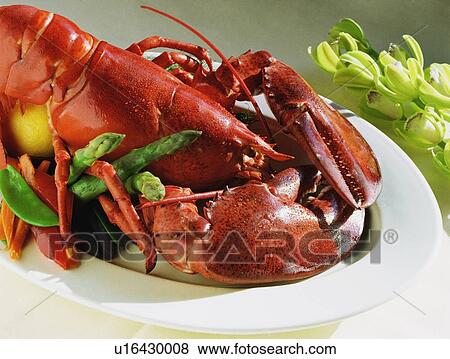 Stock Photo - Lobster dinner. Fotosearch
