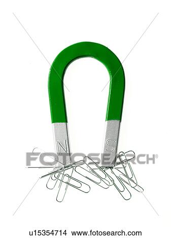 Picture - Magnet and paper clips. Fotosearch