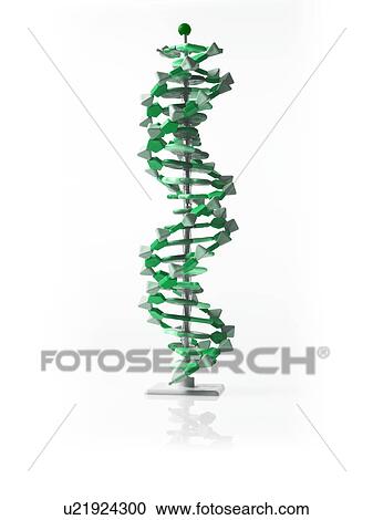 Stock Image - Massage tool. Fotosearch