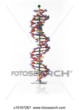 Stock Photo - Massage tool. Fotosearch
