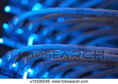 Network cables View Large Photo Image Stock Photo - Network cables. Fotosearch