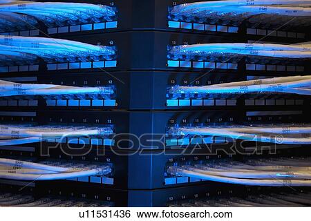 Network cables View Large Photo Image Stock Photograph - Network cables. Fotosearch