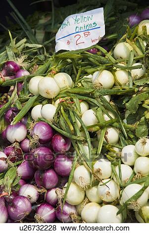 Stock Photo - Onions at farmer's market. Fotosearch