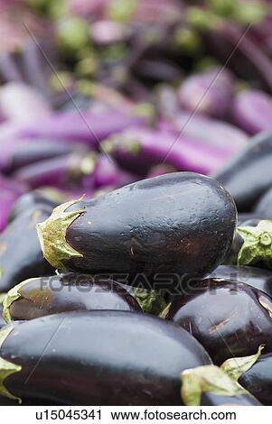 Pile of eggplant View Large Photo Image Stock Image - Pile of eggplant. Fotosearch
