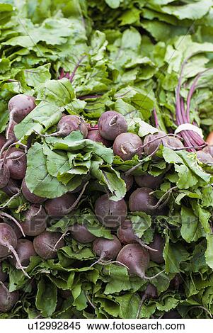 Stock Photography - Pile of fresh beets. Fotosearch