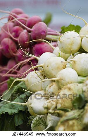 Stock Photo - Radishes on display at farmer's market. Fotosearch