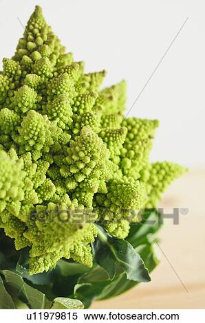 Stock Photography - Romanesco broccoli. Fotosearch