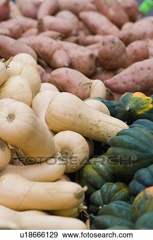 Stock Photo - Squash and sweet potatoes. Fotosearch