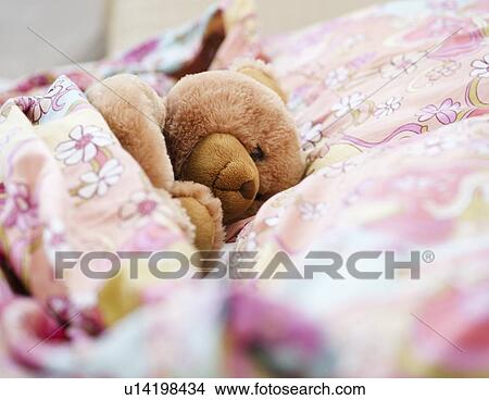 Picture - Teddy bear in bed. Fotosearch