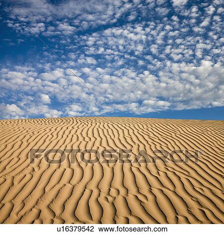 Stock Image - Wave pattern in desert sand. Fotosearch