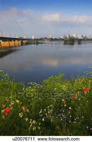 Wildflowers in front of Susquehanna River View Large Photo Image Stock Image - Wildflowers in front of Susquehanna River. Fotosearch