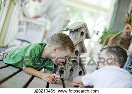 Stock Photography - Young boys looking at birdhouse. Fotosearch