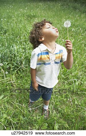 Young child blowing dandelion seed head View Large Photo Image Stock Photo - Young child blowing dandelion seed head. Fotosearch