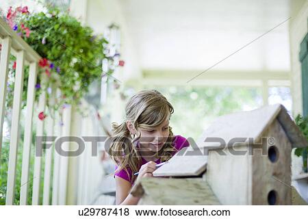 Young girl painting a birdhouse View Large Photo Image Stock Photo - Young girl painting a birdhouse. Fotosearch
