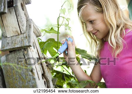 Picture - Young girl putting bird seed in birdhouse. Fotosearch