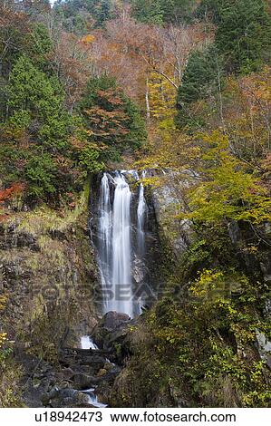 Stock Image - Amaunakadaki waterfall in autumn, Gifu Prefecture, Honshu, Japan. Fotosearch