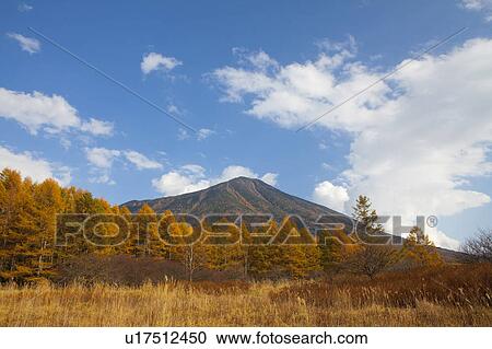 Stock Image - Autumnal Trees and Mount Nantai in Senjogahara. Fotosearch