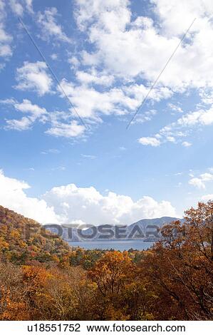 Autumnal Trees Near Lake Chuzenji View Large Photo Image Stock Image - Autumnal Trees Near Lake Chuzenji. Fotosearch
