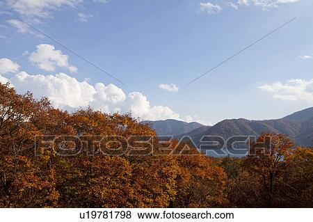 Autumnal Trees Near Lake Chuzenji View Large Photo Image Stock Photo - Autumnal Trees Near Lake Chuzenji. Fotosearch
