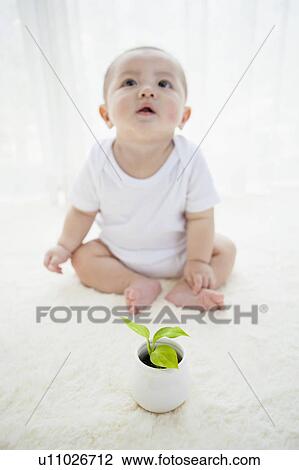 Baby Boy With Potted Sprout View Large Photo Image Stock Image - Baby Boy With Potted Sprout. Fotosearch