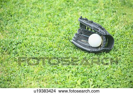 Baseball glove and baseball on grass View Large Photo Image Picture - Baseball glove and baseball on grass. Fotosearch