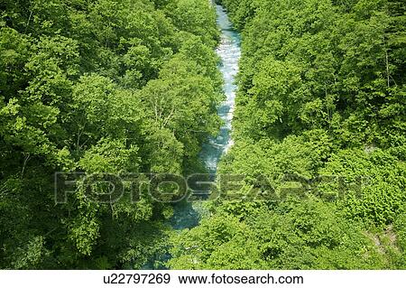 Stock Photo - Biei river, High angle view, Hokkaido Prefecture, Japan. Fotosearch