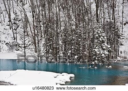 Blue pond and snow, Hokkaido Prefecture, Japan View Large Photo Image Stock Image - Blue pond and snow, Hokkaido Prefecture, Japan. Fotosearch