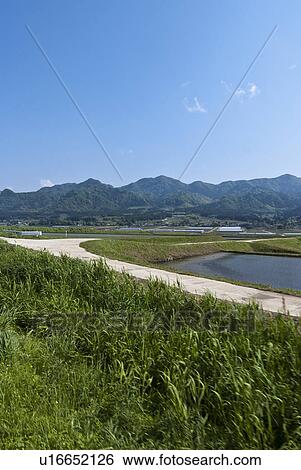 Blue Sky Over Rice Paddy and Mountains View Large Photo Image Stock Photograph - Blue Sky Over Rice Paddy and Mountains. Fotosearch