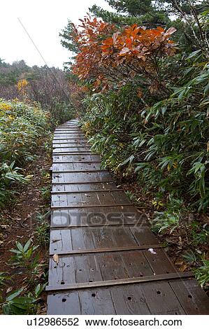 Stock Image - Boardwalk at Mount Adatara-Yama. Fotosearch