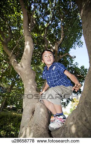 Stock Photo - Boy climbing a tree, Japan. Fotosearch