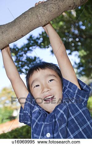 Stock Photography - Boy hanging from tree branch, Japan. Fotosearch